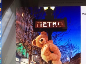 Bear on Metro sign